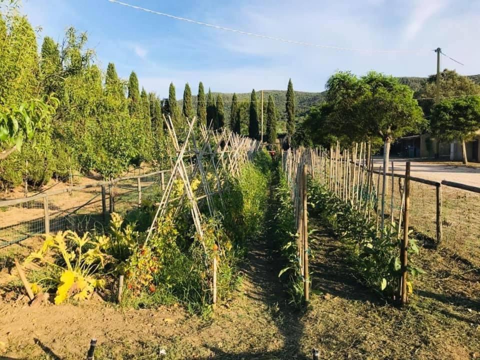 Tenuta Santa Caterina Portoferraio Exterior photo